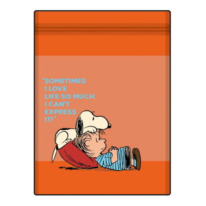 Xk[s[ Xg[WobOZbg SNOOPY&LINUS OR 4 771896