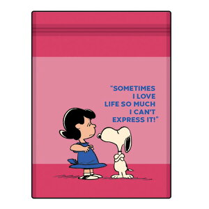 Xk[s[ Xg[WobOZbg SNOOPY&LUCY PK 4 771902