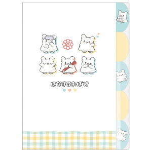 ͂Ȃ܂邨΂ 5indexNAt@C pXe`FbN 301066