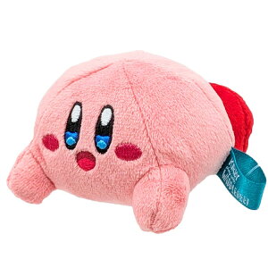 ̃J[rB KPWW06 ςނʂ J[rB J[rB play with hfB