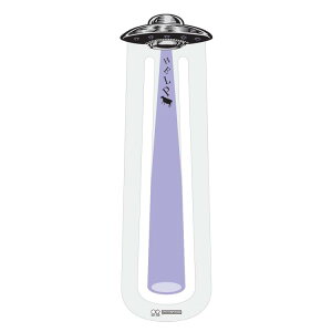 mFs x p[v  600833 UFO mFs