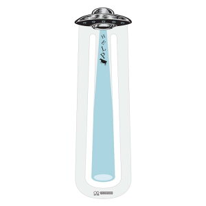 mFs x ~g  600840 UFO mFs