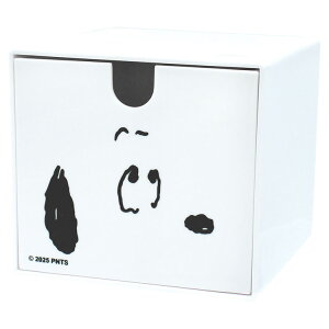 Xk[s[ X^bLO`FXg Look up 253999 tFCXV[Y PEANUTS s[ibc