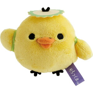 bN} Ă̂ʂ LCCg Jbp 悤nEB d y1ll3_z