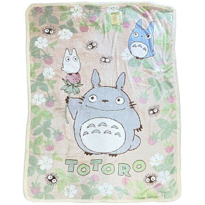 ƂȂ̃gg ѕz  929607 EC^[ACe X^WIWu