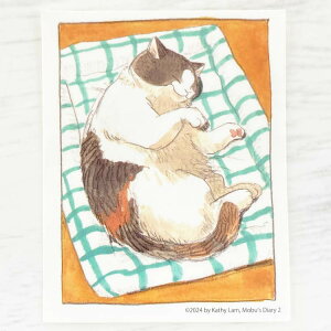 OєLu͔Lʂ҂ Mobu' Diary XebJ[ Sleep 988300 2e uY_CA[ L}K