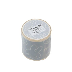 ~btB[ {e[v O[ 45mm tFCXV[Y 6e 111623