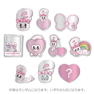 �y���g�̓����_���z �G�X�^�[�o�j�[ �V�[�N���b�g�A�N�����~���[�V�[�� 257645