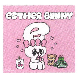 GX^[oj[ XNGA PK 280829 GXoj 