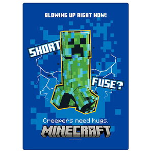 Minecraft ~B5 N[p[ 612702 }CNtg }CN Q[LN^[