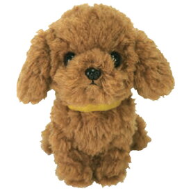 �ʂ������