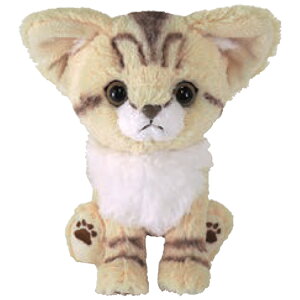 Lg ʂ XilR 047307 Kitten T