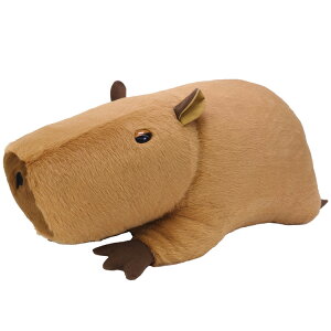 Cushy ʂ Jso  976138  Aj}