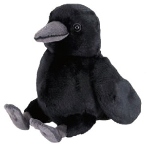 tbtB[Y ʂS JX 049561 T