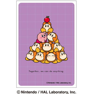 ̃J[rB ENS-10 LN^[X[u~j 킹