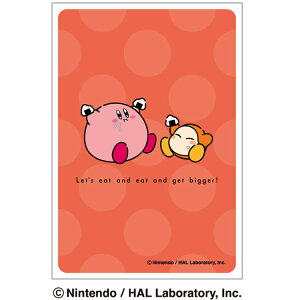 ̃J[rB ENS-11 LN^[X[u~j ܁[I