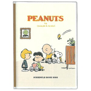 Xk[s[ 蒠 2026N XPW[ T B6 Xg[[ubN  133799