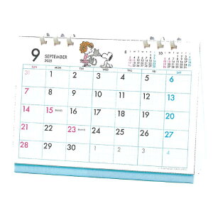 Xk[s[ 2026NJ_[ 1000136863  GR^Cv y[p[O 174154