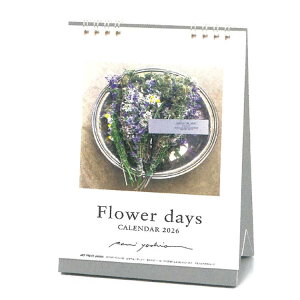 t[fCY 2026NJ_[ 1000136913  T߂ O 174710