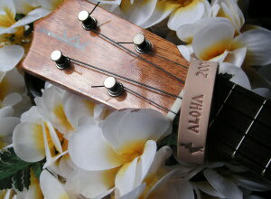 ☆Laule'aBand*ALOHA*2008☆