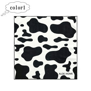 ^I  `NX 50cm ؂؂NX ٓ   σ|[` y z ނ ٓ ɂP[X NX Jbv nJ` |[` ^