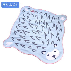 ٓ  ٓ itL ^I 50*45cm 38*38cm ؂؂NX ^I  σ|[` y z ނ NX `NX nJ` 낷