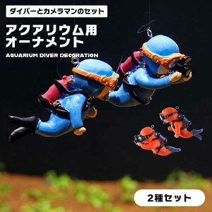 ANAE  m _Co[  v I[ig tbO} CeA u i t[eBO ُ i Mы Ϗ܋ t[eBO{[ 