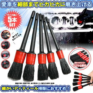 ԃuV 5{Zbg ^C zC[ Ȃ h~ zC[uV  ֗ ACe J[pi ԃObY 