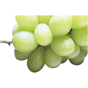 yΕMtg 2025z _Cʉ VC}XJbg