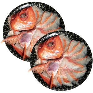 yΕMtg 2025z q肫ߑ Ԃ