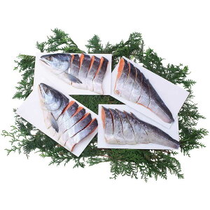 yΕMtg 2025z kCYѐVpؐg