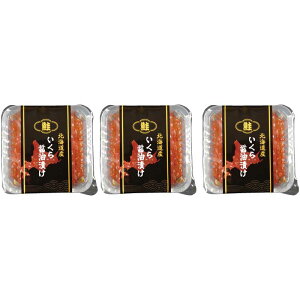 yΕMtg 2025z MCmY kCYݖЂ