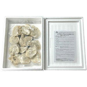 yΕMtg 2025z TCYt[Y ^ӂ̓g