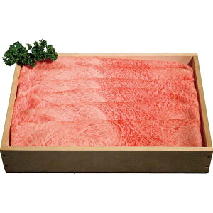 yΕMtg 2025z _ˋĂij