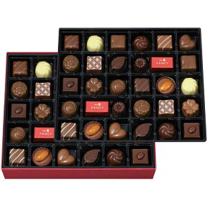 yΕMtg 2025z [`R[g t@V[`R[g