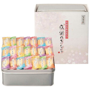 �y���Ε�M�t�g 2025�z �S�ُ��܂��� ���ӂ̂�����