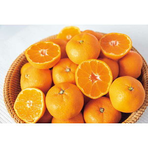 y2025 Εz a̎RY Lc݂