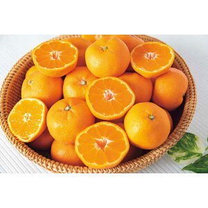 y2025 Εz a̎RY Lc݂