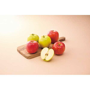 y2025 Εz XY Tӂ񂲁