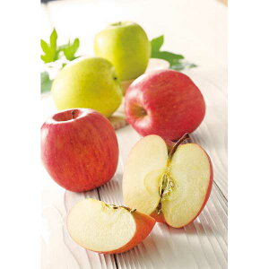 y2025 Εz XY Tӂ񂲁