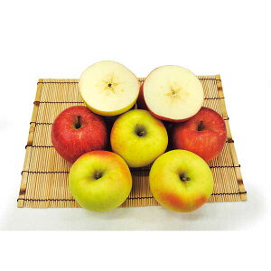 y2025 Εz XY TӂEܖ