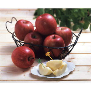 y2025 Εz XY x14xȏTӂ