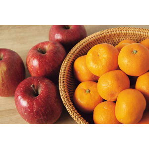 y2025 Εz Lc݂EMBTӂ񂲁EEtXl