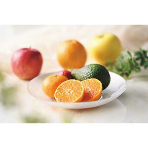 y2025 Εz ~̉ʕ6}Xli12j