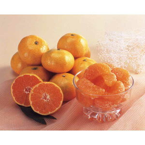 y2025 Εz a̎R ̗Lc݂