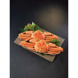 y2025 Εz kCY 䥂ŃIIYCKjp