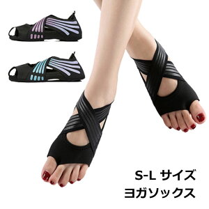  T|[^[ A[` y܂ C K\bNX 5{w ~ A[`T|[^[ \bNX KV[Y EH[N wȂ seBX C\[ fB[X ̍b  