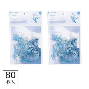  V[ t[NV[ ̎q 蒠  Xe[Vi[ ObY G fR  t R[W f Zbg 80 