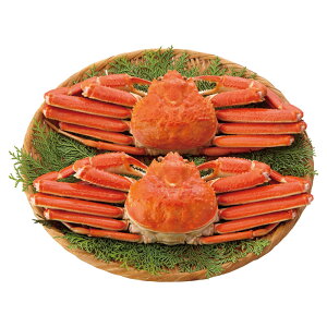 y I Mtg  z 킢 p 2 v 1000g 킢 p {C 킢I Jj  I Ⓚ CN Mtg v[g 蕨 j j yY {C킢Ɏp