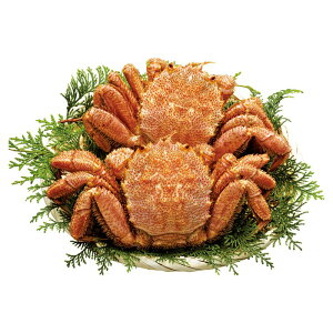 y I Mtg  z kCY т 2 v640g {C т ъI уKj kCY Ⓚ {Cς Mtg v[g 蕨 j j yY CN Jj I kCY{C